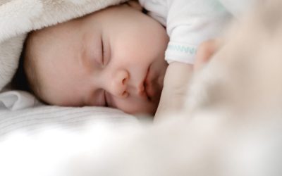 Le calendrier de sommeil pour la première année de votre bébé 😴
