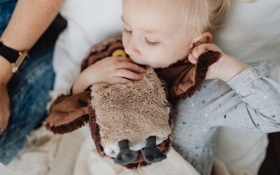 L’importance du doudou pour votre enfant 🧸
